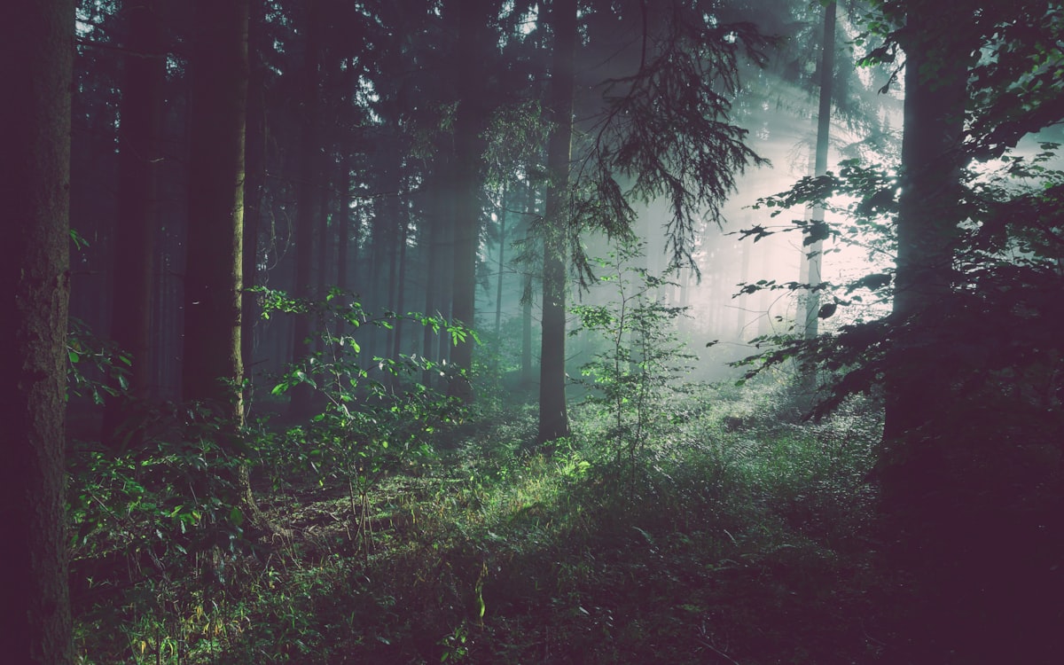 Salud ambiental: aire, calor y tóxicos en la infancia